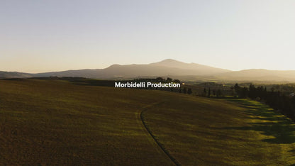 Morbidelli T1002VX